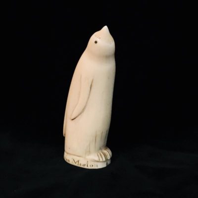 Magnifique dent d’orque sculptée (scrimshaw) représentant un manchot