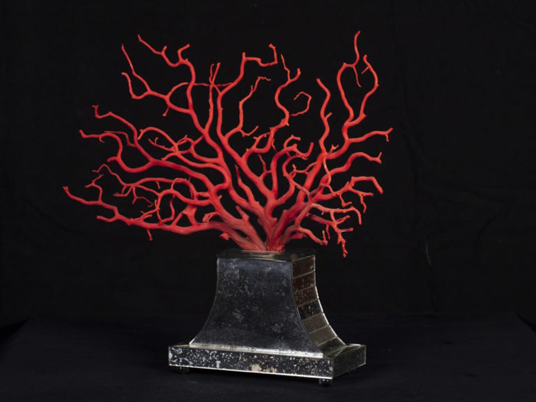 Lot De Corail Rouge – Environ 40cm – Sans Fermoirs – Pour Création De Bijoux